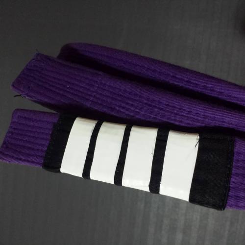 Purple belt · April 5, 2017 · Promoted by Andrew Liesman